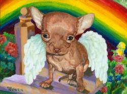 Angel is a Chihuahua who has crossed over the Rainbow Bridge