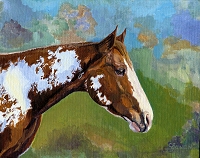 Equine horse painting by Connie Bowen of BP who lives on a ranch in Southern Oregon. He is a paint horse. Paint horses have exquisite markings!