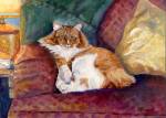 Beamer is an orange and white tabby cat. Doesn't he look regal lying there on his couch?