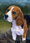 Becks is a champion Beagle! I love his deep, brown eyes!