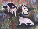 Bogart, Dottie and Lilly were  three beautiful cats, each with their own personality