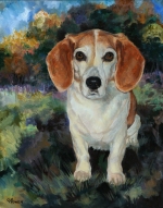 Cindy was a cherished Beagle who lived to the ripe old age of 15 due to Kerri's special herbs and knowledge of pet geriatrics