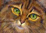 Emerald green cat eyes of an orange tabby cat