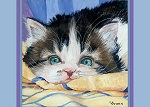 Forfura sweet tabby and white kitten with blue eyes