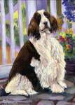 Gracie is a Springer Spaniel who loves to lounge in her beautiful garden.