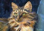 Julie is a long haired tabby cat who lives back East