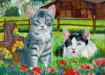 Mackenzie - Gray Tabby kitten and Vivian - black and white kitten - two barn cats in a field of flowers