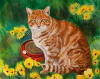 Orange tabby cat PeeWee