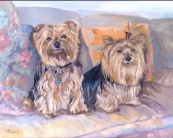 Polo and Tiffany are adorable Yorkshire terriers