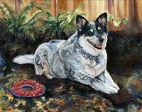 Roscoe is an Australian Cattle dog who loves to play with his red ring toy