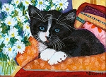 Socks - Tuxedo kitten with daisies and red, pink and orange pillows