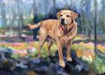 Sonic is a Yellow Labrador who loves to spend time in his cabin in the woods
