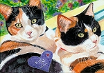 Sydney and Aprilee- Calico Cats - Kitty Love