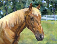 Equine horse painting by Connie Bowen of Topaz, a beautiful Palomino pony. Palomino horses have the most beautiful, blonde manes!