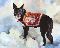Dog Painting by Connie Bowen of Search and Rescue dog Valorie. She was an extremely talented and brave Border Collie SAR dog!