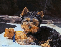 Zoe is an adorable Yorkshire Terrier puppy