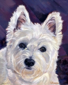 Dog Painting by Connie Bowen of Gracie, a Westie who loves to be comfy! West Highland terriers have such dark, lovely eyes!