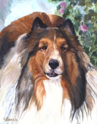 Dog Painting by Connie Bowen of Jordy, a handsome Sheltie. Shelties have so much energy!